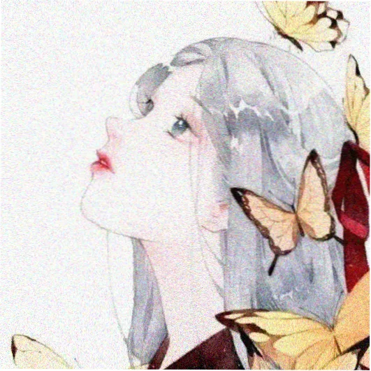 摄影指导顾长风头像